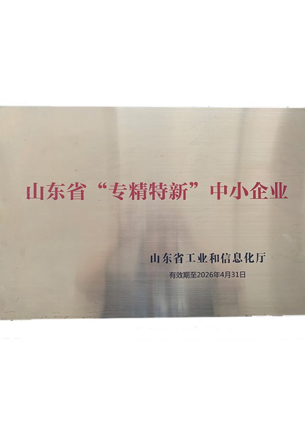 专业化、精细化、独特化和创新型产业——山东省