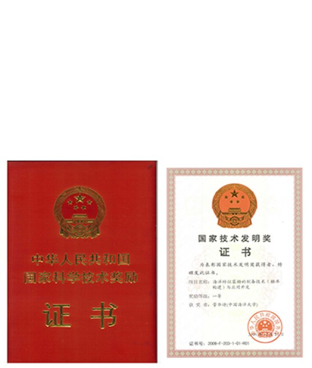 技术领先