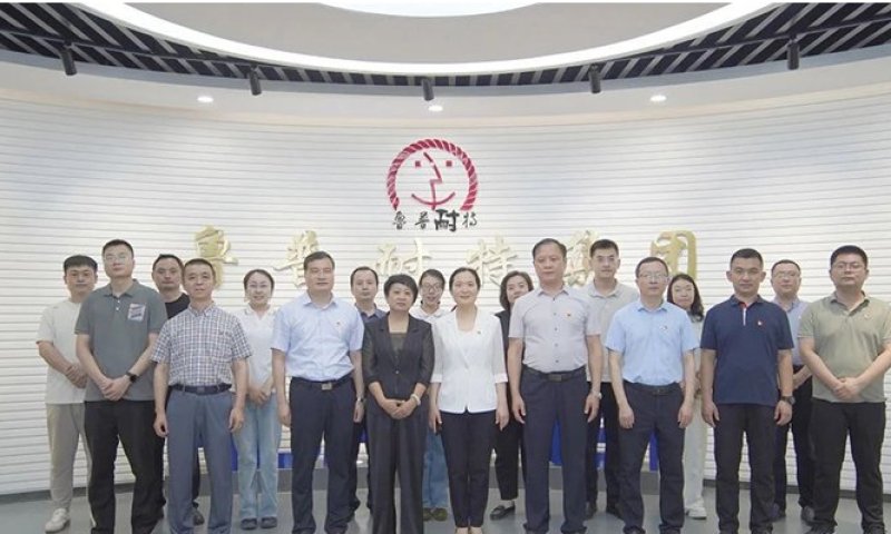 山东省国防动员办公室综合处处长闫国红一行调研鲁普耐特集团