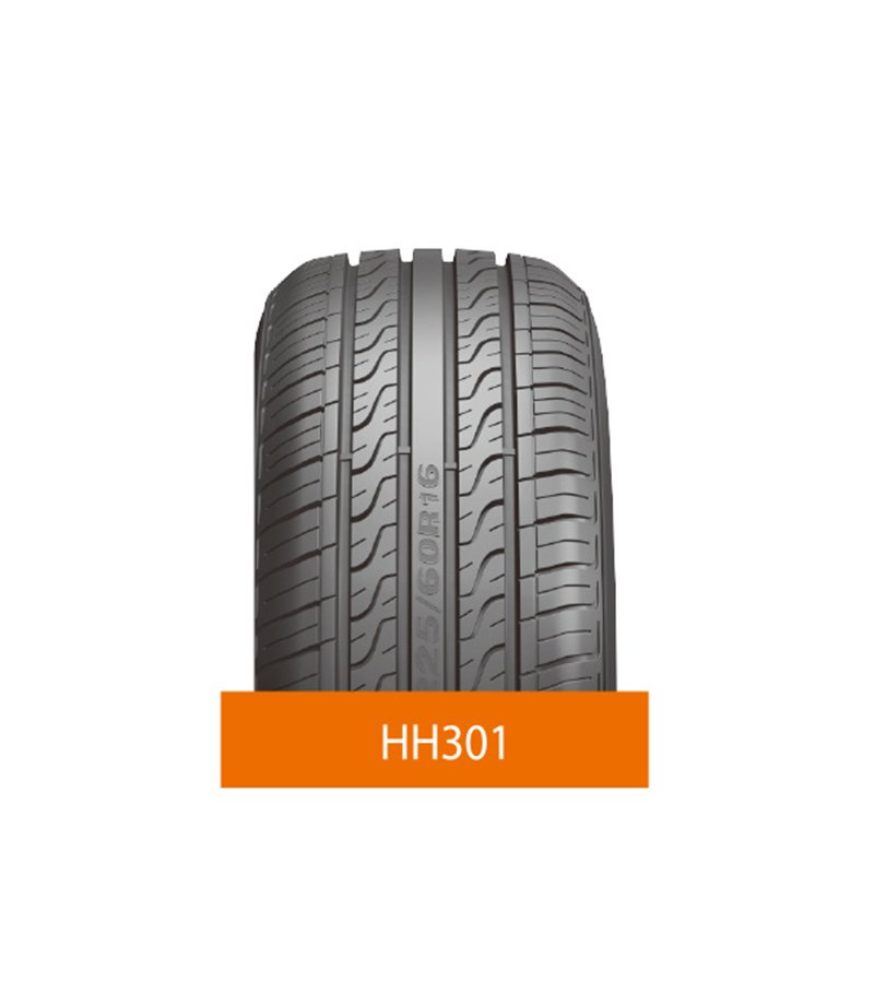 HH301
