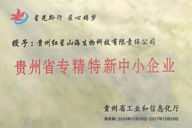 贵州省专精特新中小企业