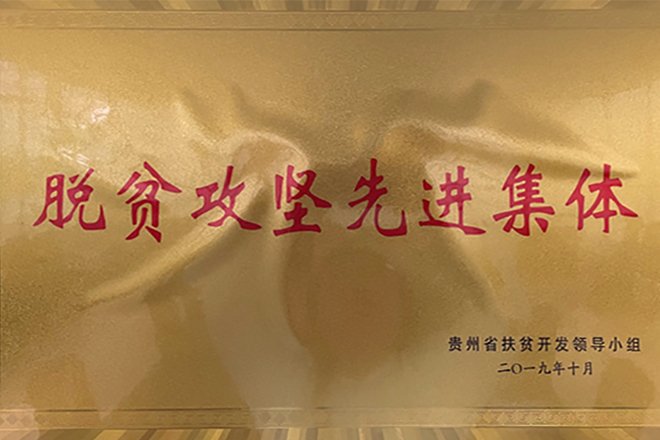 脱贫攻坚先进集体