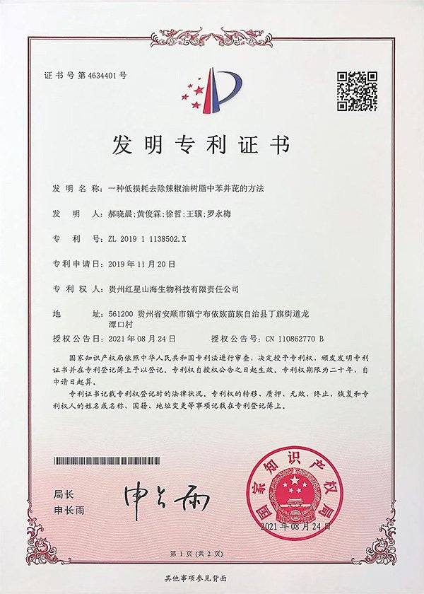 发明专利