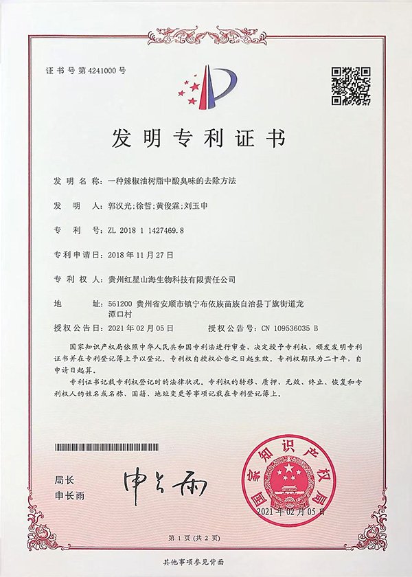发明专利