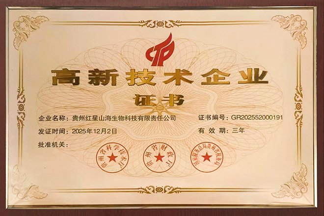 高新技术企业