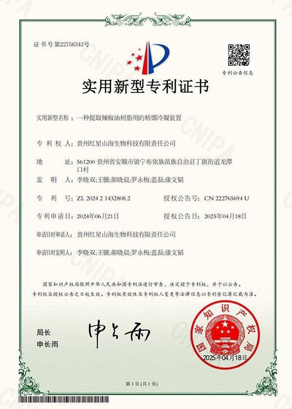实用新型专利