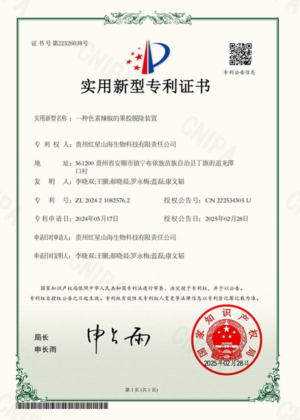 实用新型专利