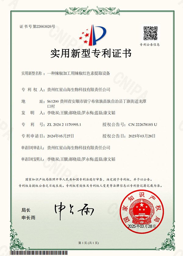 实用新型专利