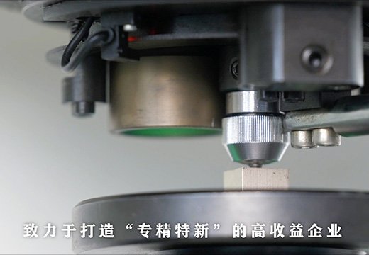 我司顺利通过 ISO 9001 质量管理体系认证