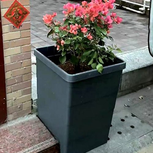 塑料花盆