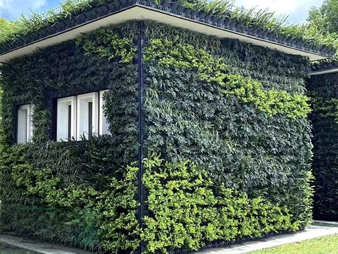 厕所植物墙