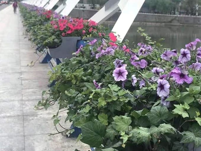 市政护栏