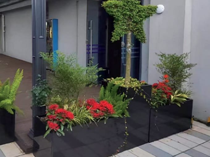 Terrace