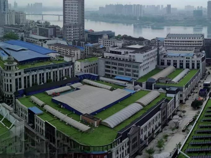 市政单位的绿色屋顶