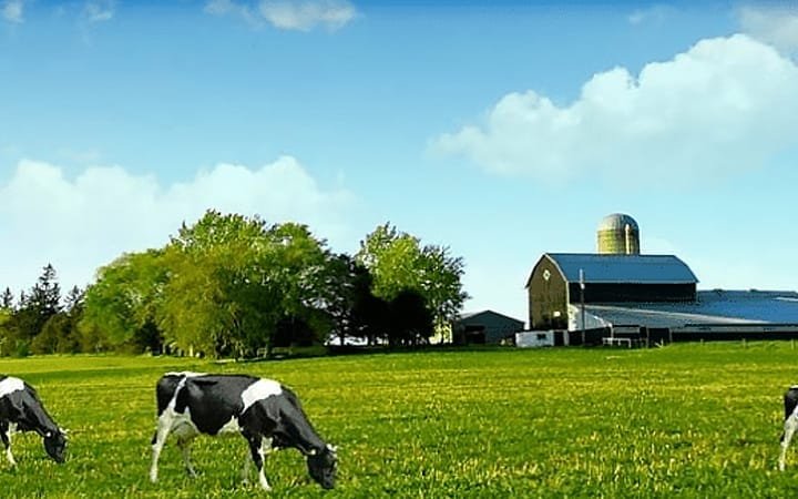 如果不能“降低成本”，那就从细节入手，“提高效率”。